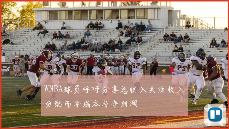 WNBA球员呼吁分享总收入关注收入分配而非成本与净利润