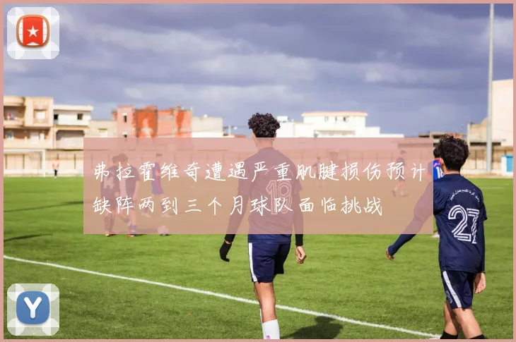 弗拉霍维奇遭遇严重肌腱损伤预计缺阵两到三个月球队面临挑战