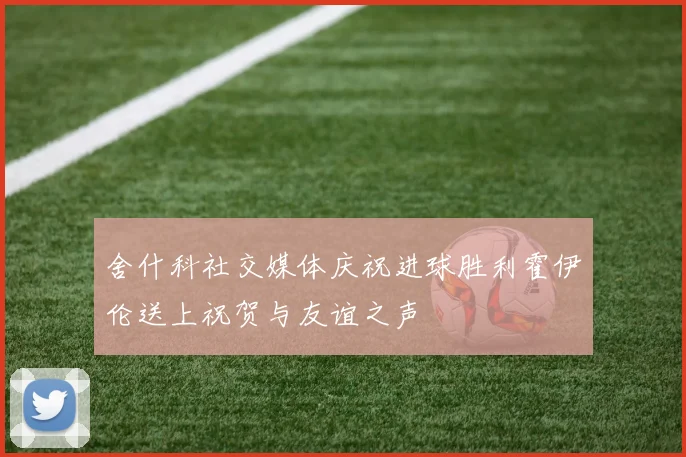 舍什科社交媒体庆祝进球胜利霍伊伦送上祝贺与友谊之声